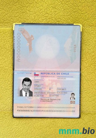 Chile zdjęcie do paszportu pliki PSD, skan i fotografowany obraz